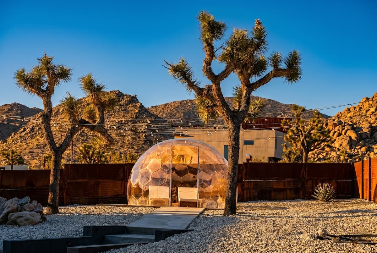 JT Luxe Compound-Pool/Spa/Pickleball/Dome - Photo 4